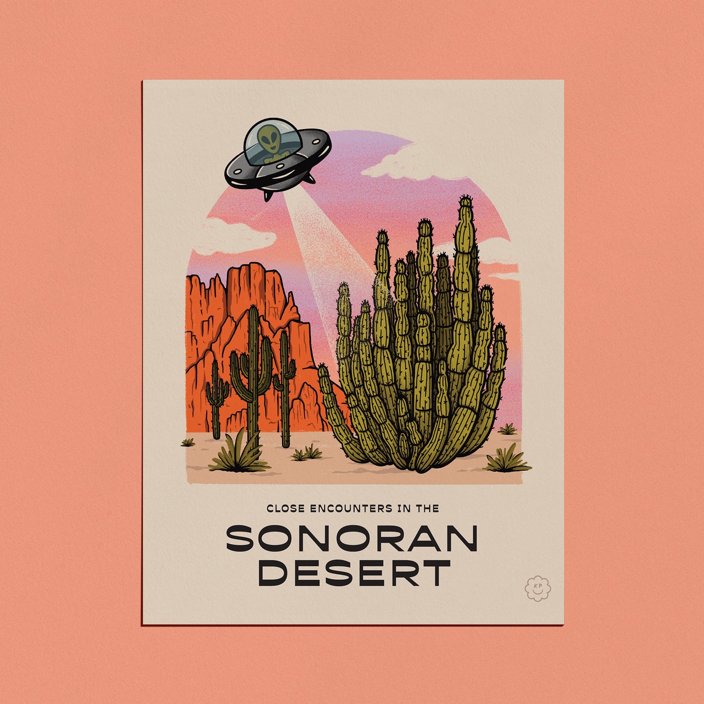 Close Encounters - Sonoran Desert