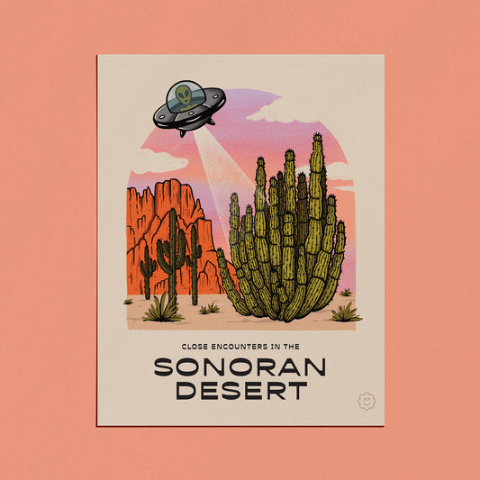 Close Encounters - Sonoran Desert